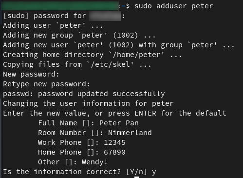 Terminal-Anzeige des Befehls sudo adduser peter.