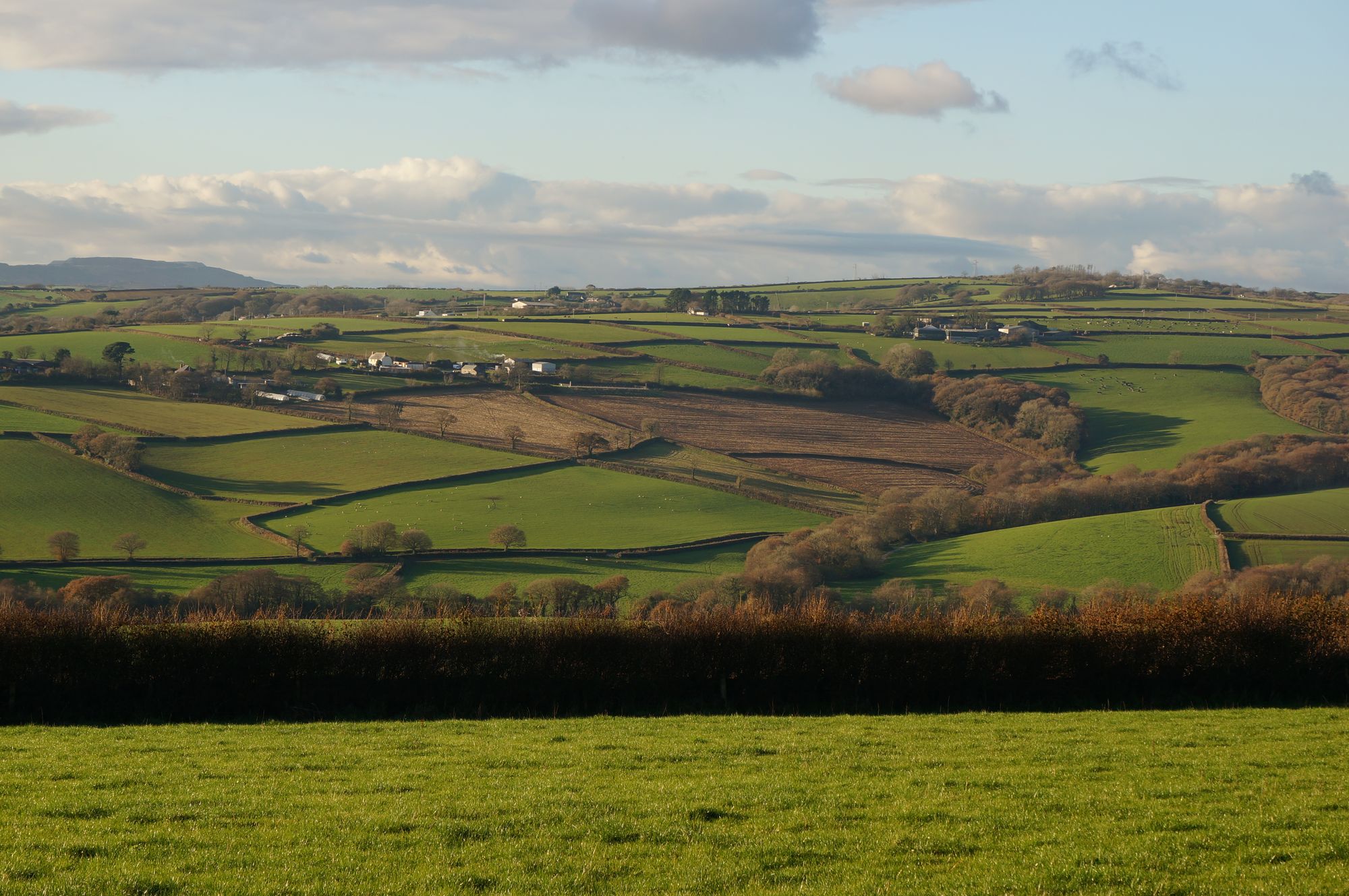 Blick auf die Hügel und Felder von Cornwall mit vereinzelten kleinen Siedlungen.