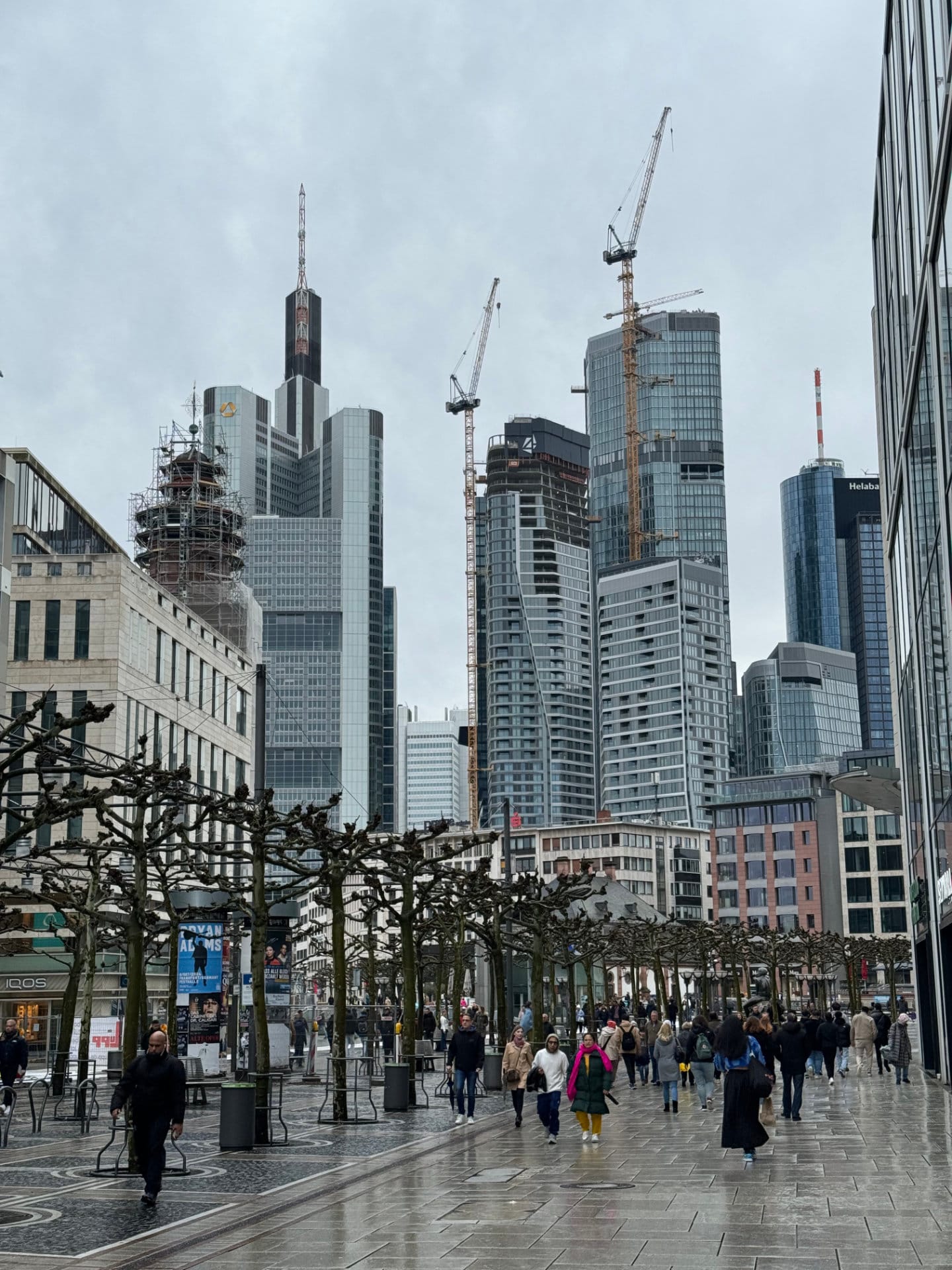 Frankfurt am Main: Schämt sich keiner?