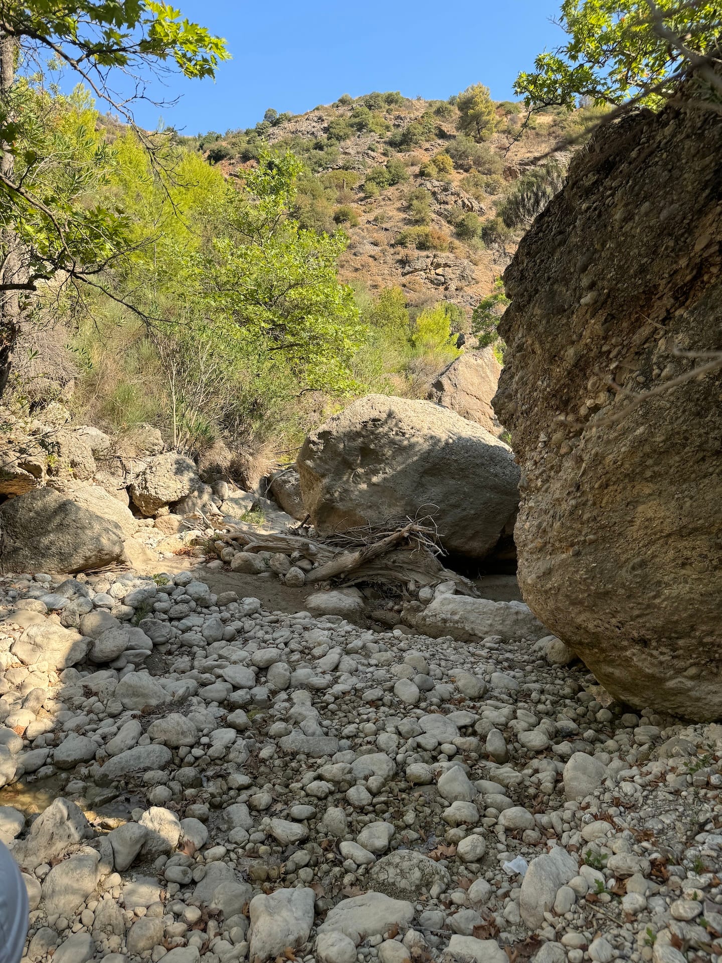 Weite trockene Schlucht mit größeren Steinbrocken. Am Rand Pflanzen.