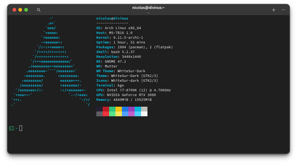 Terminalfenster, links das Arch Linux Logo in ASCII, rechts verschiedene Systeminformationen