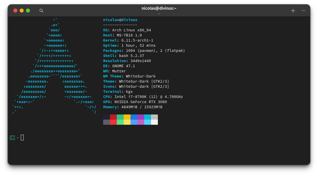 Terminalfenster, links das Arch Linux Logo in ASCII, rechts verschiedene Systeminformationen